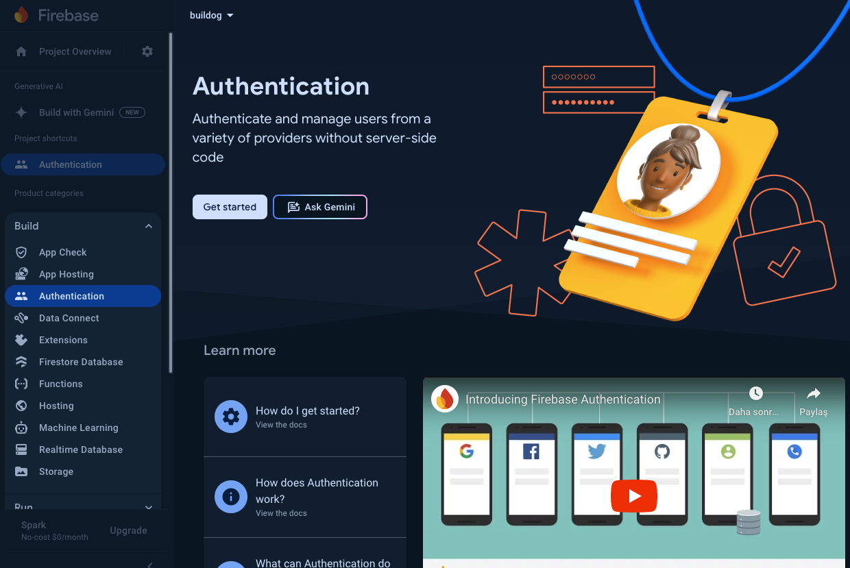 Firebase Dashboard Initial